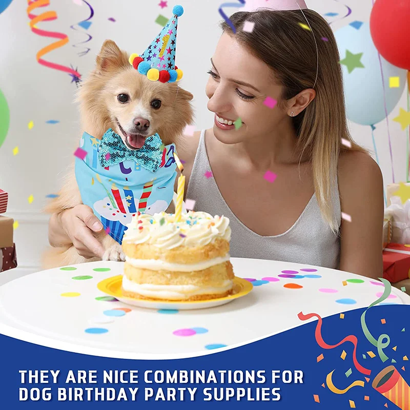 Title 6, Dog Birthday Party Supplies with Dog Birthday B...