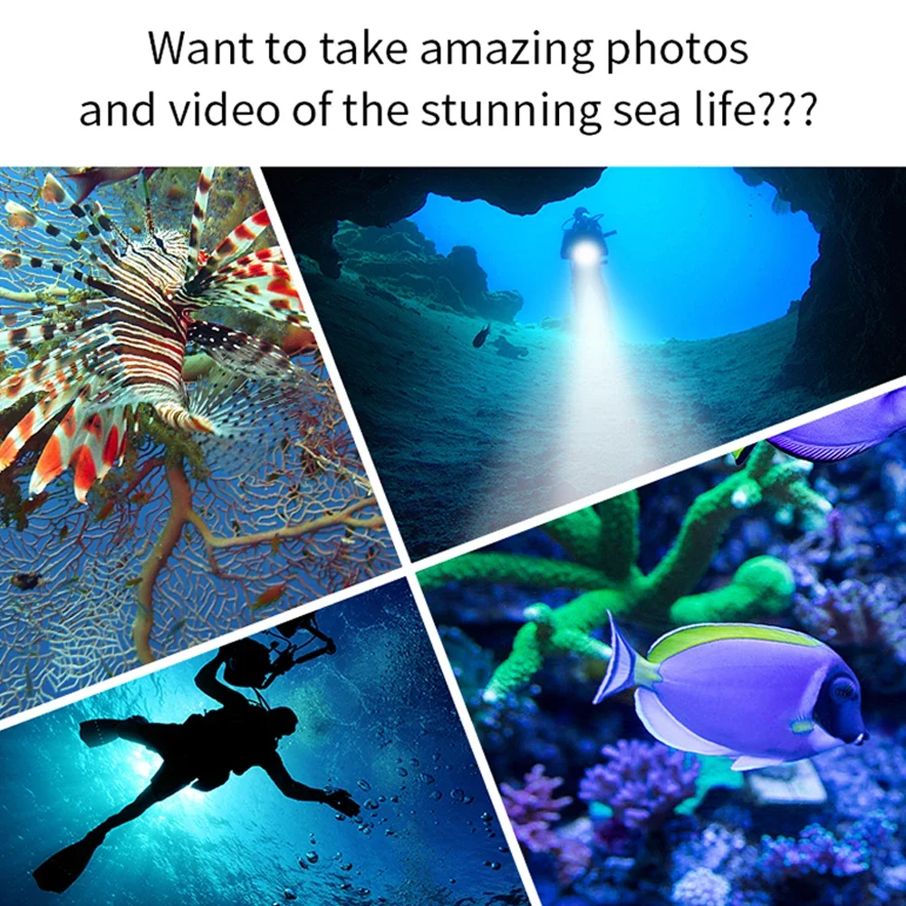 Description Picture 6 of itemUV LED Diving Flashlight Ultraviolet Lantern Scuba Purple Light Underwater 200M Dive Aluminum Torch 395nm for Diving Hunting