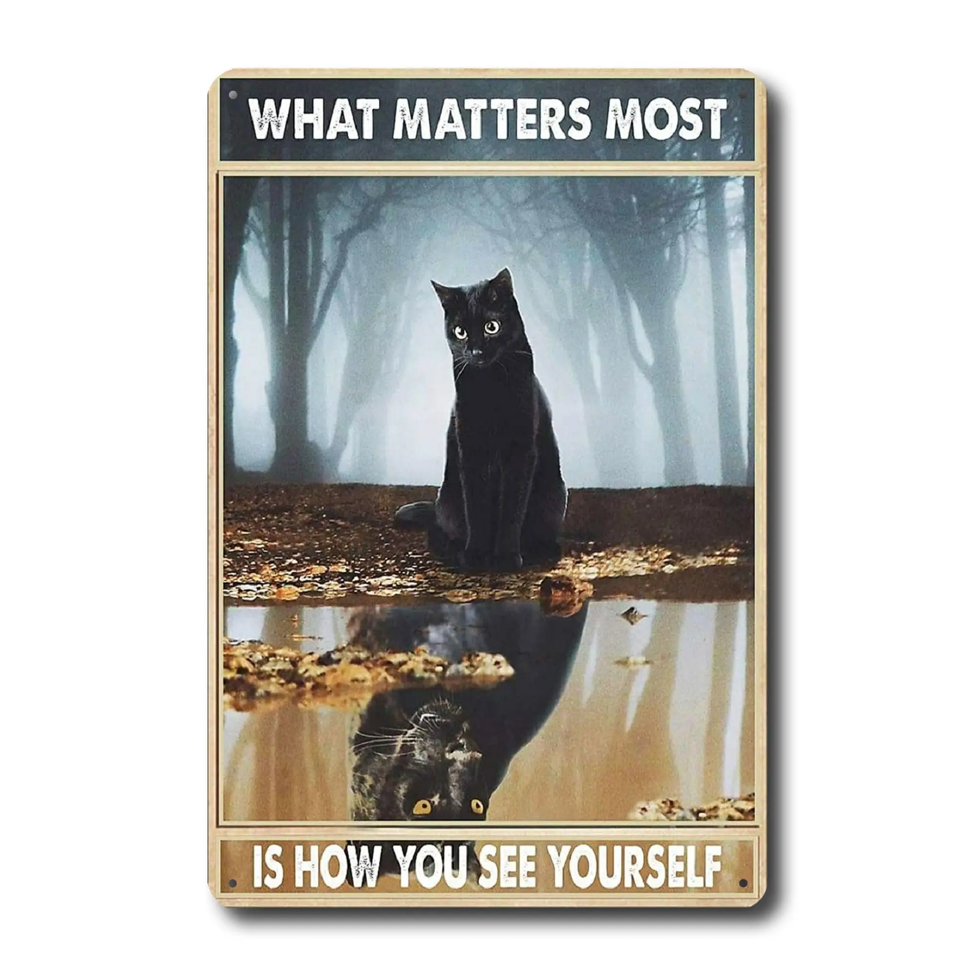 

Черная фотография-8x12 милые жестяные коробки Черный кот подарки-искусство на стене черная фотография для дома-что важно больше всего