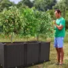 Large Planters for Outdoor Plants Raised Garden Bed Elevated Rectangular Garden Box Kits 5