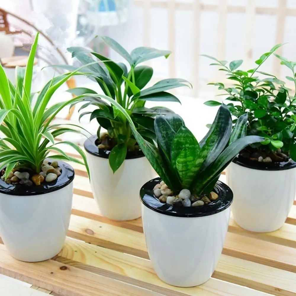 Resin Round Desktop Decorative Flower Basket Planter