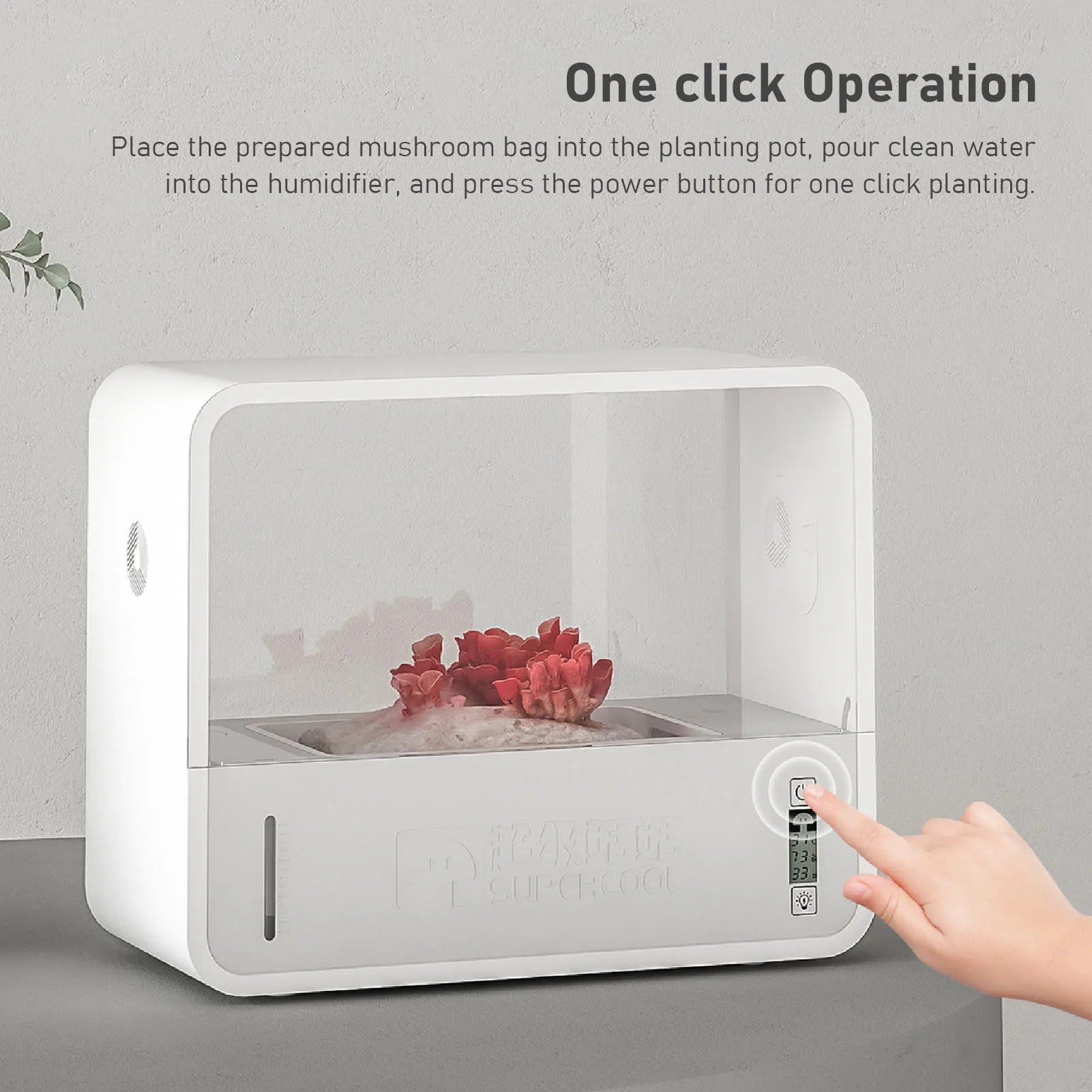 Mushroom Growing Box Mushroom Growing Tent Smart Soilless Transparent Viewing Automatic LED Lighting Still Air Box