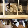 Cat Thorn Mat Dog Garden Anti-Cat Dog Outdoor Supplies Feces Mat Cat Dog Expulsion Mat Anti-Cat Thorn Mats Protects Plants 5