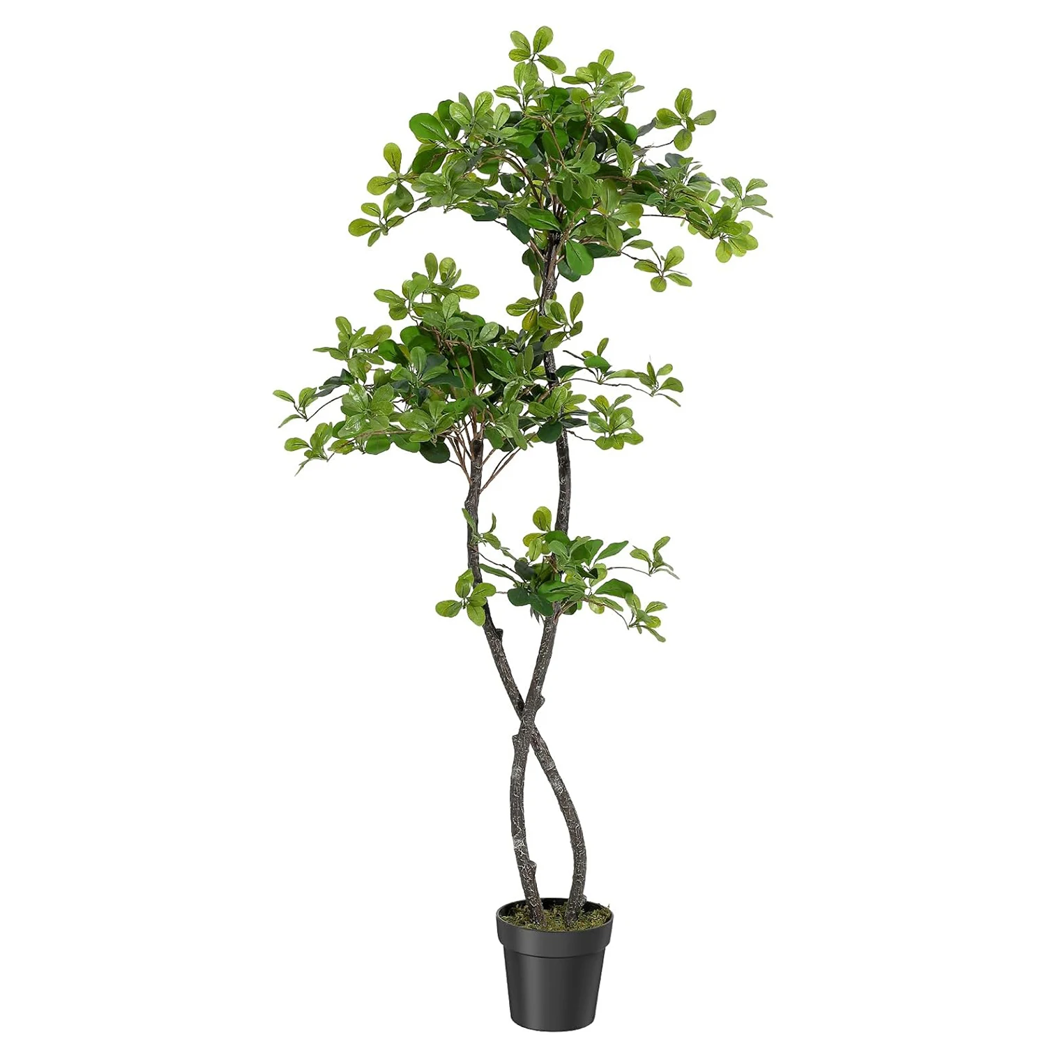 Künstliche Olivenbäume für Innenräume, 150/180cm Hoher Künstlicher Olivenbaum, Künstlicher Schwarzer Olivenbaum, Künstliche Pflanzen im Topf zur Heimdekoration – Detail 5