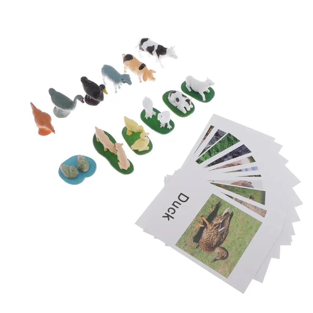 

Naming Cards Template for Montessori Educational Toy Breeding Group