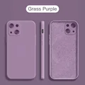 Grass Purple