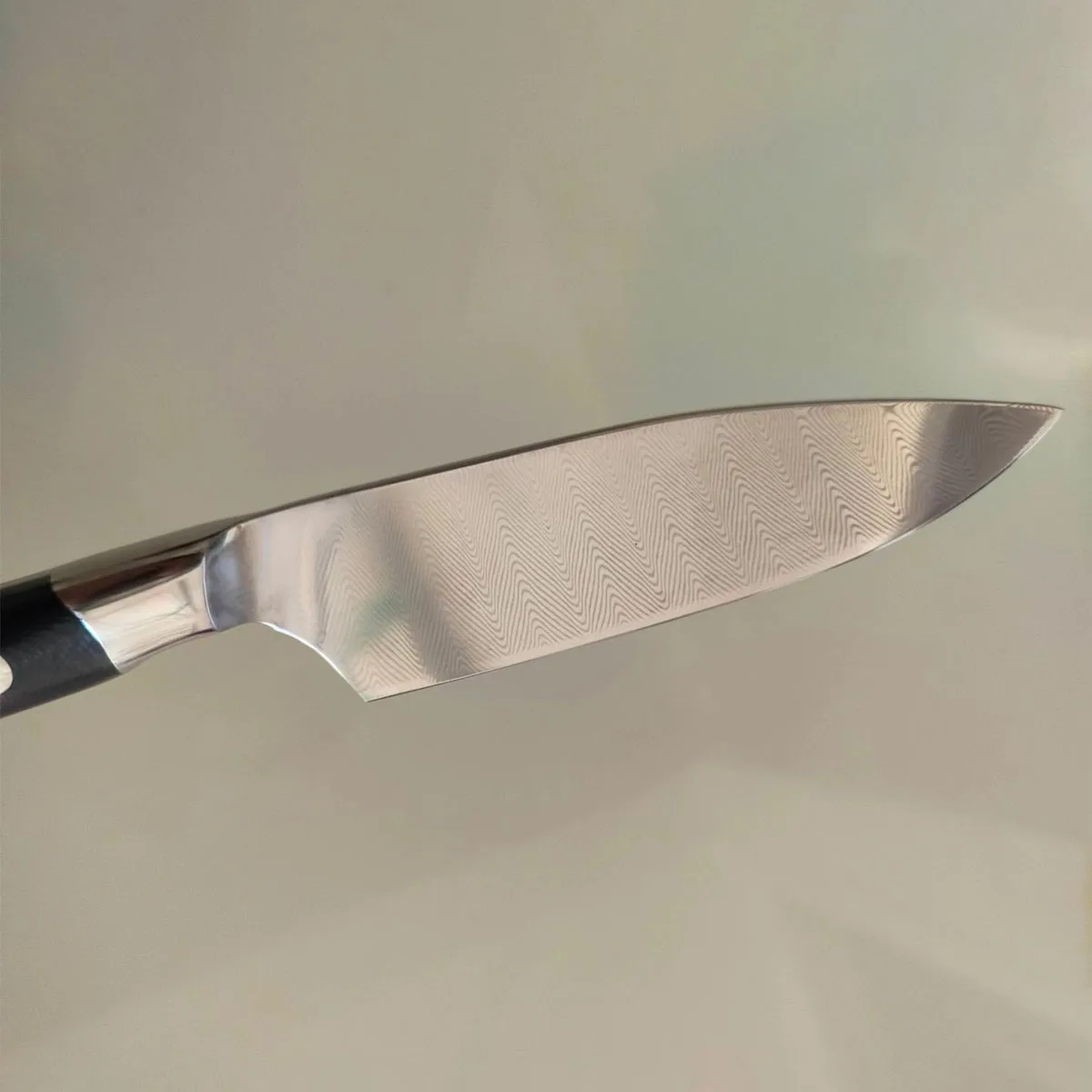Couteau Éplucheur | Modèle Saffron | Dimension de 10,5 cm | Lame en Acier  Inox | Manche en Polyoxyméthylène | Couleur Noire