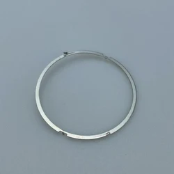 Watch Bezel Click Spring Set - Pack of 2 (Silver)