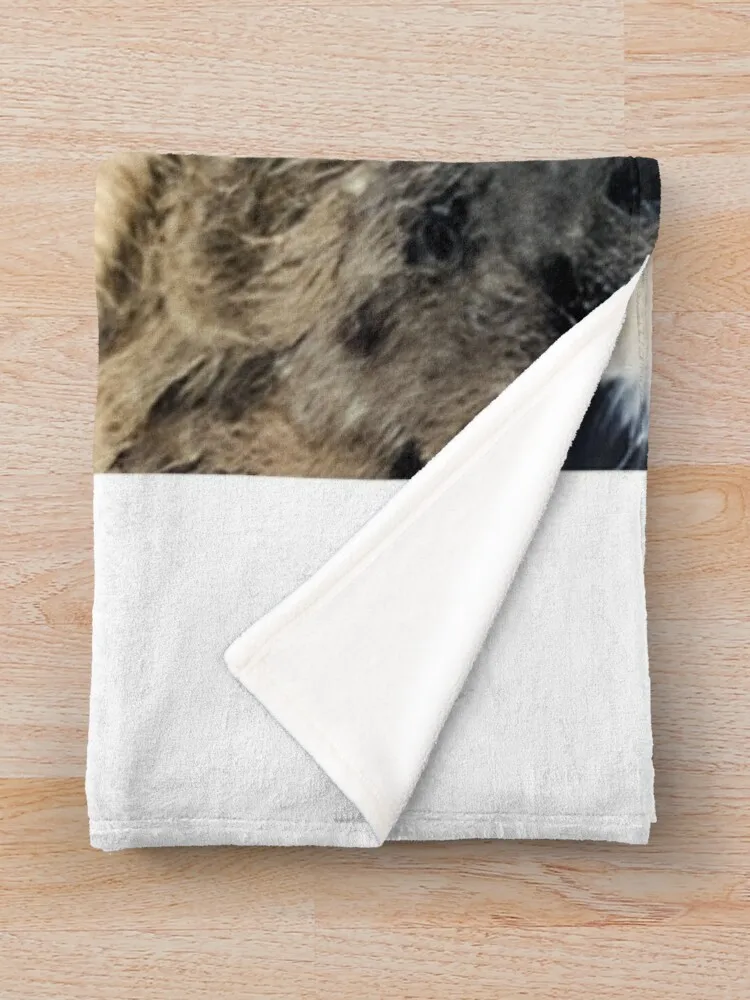 ��Ư�� ����� �����ĵ� ������ ���, ���� ���, ���Ÿ� ������ ���, �ڽ����� �ִϸ��̼�, ǫ���� �� ���