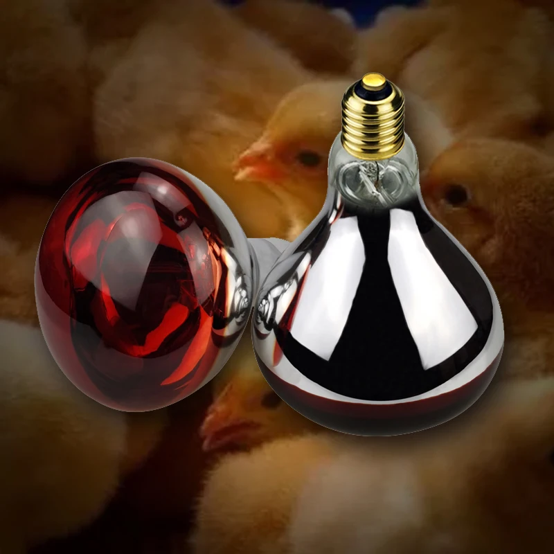 Quartz glass waterproof and explosion-proof E26 E27 Red R40 Infrared Heat Lamp Farm lamp 100W 150W 200W 250W 275W infrared lamp