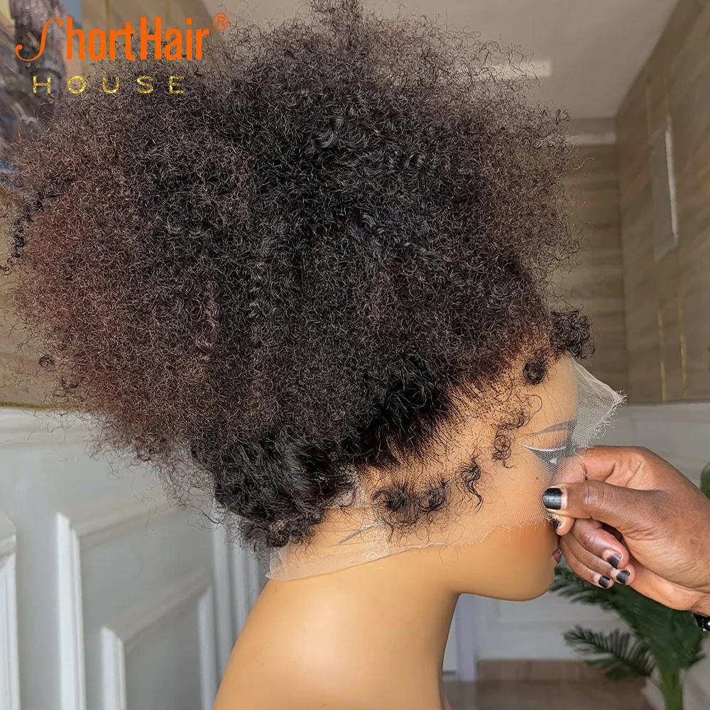 Afro Kinky Curly Wigs Human Hair 4C Kinky Edges Human Hair Wigs Invisible Knots 13x4 Lace Front 360 Full Lace Front