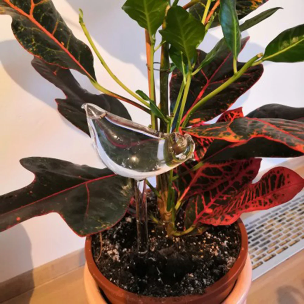 15/20pcs Automatic Plant Water Feeder Self Watering PVC Ball Indoor Outdoor Flowers Water Cans Flowerpot Drip Irrigation Device