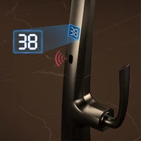 ก๊อกน้ําห้องครัวสีเทาปืนทองเหลืองหรูหรา จอแสดงผลดิจิตอล การดูดแม่เหล็กเหนี่ยวนําอัจฉริยะ การออกแบบแบบดึงออก อ่างล้างจานเย็นและร้อนแตะ 5