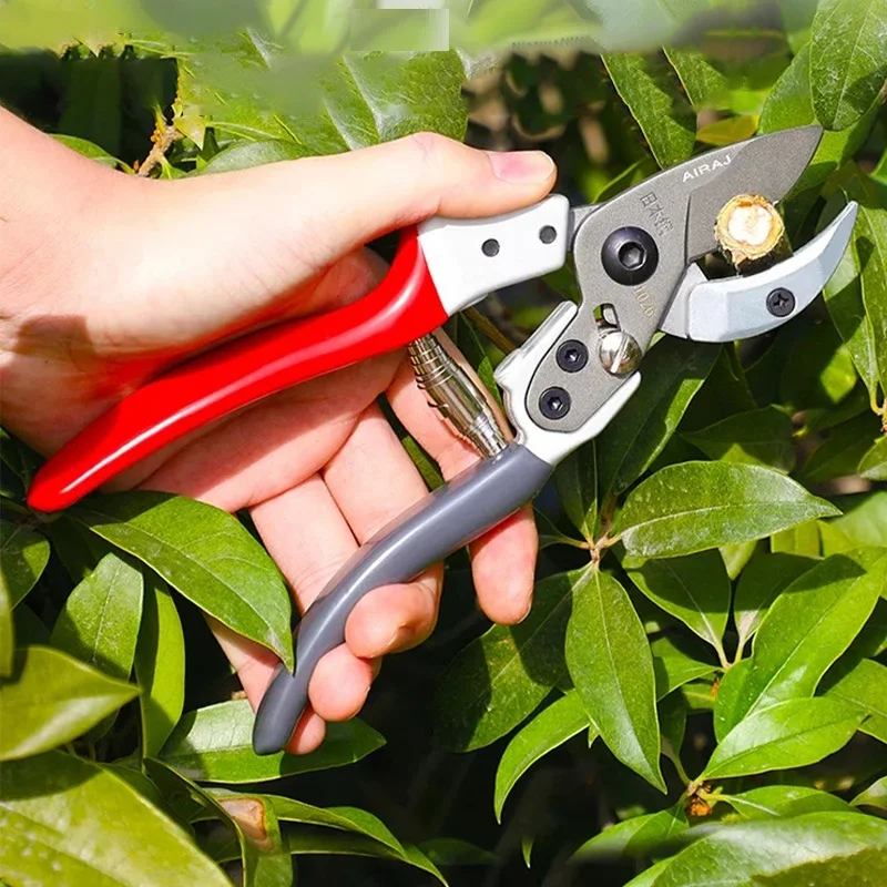 원예용품  SK5 스틸 원예 가위, 정원 가지 가위, 과일 나무 가지 치기 가위, 꽃 가지 치기, 꽃꽂이 도구, 25mm, 2 개 