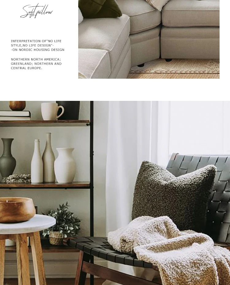 Teddy-Plüsch-Kissenbezug, individuell anpassbarer Sofa-Kissenbezug in mehreren Größen, superweicher, bequemer, dekorativer Möbel-Kissenbezug – Detail 4