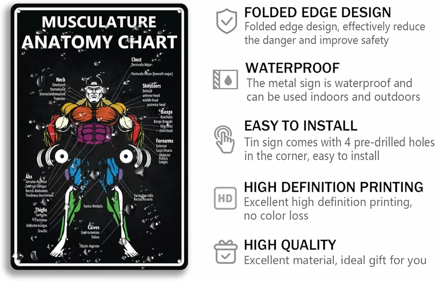 Musculature Anatomy Chart Tin Sign Gym Motivational Metal Signs Funny Gym Room Decor Signs Man Cave Art Poster 8x12 Inch AliExpress