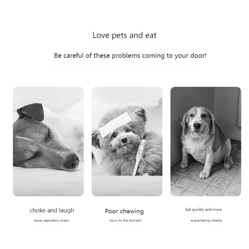 Large-Capacity Slow Feeder Pet Bowl - Portable Travel Design with Non-Slip Base for Dogs & Cats, Outdoor Mealtime Solution