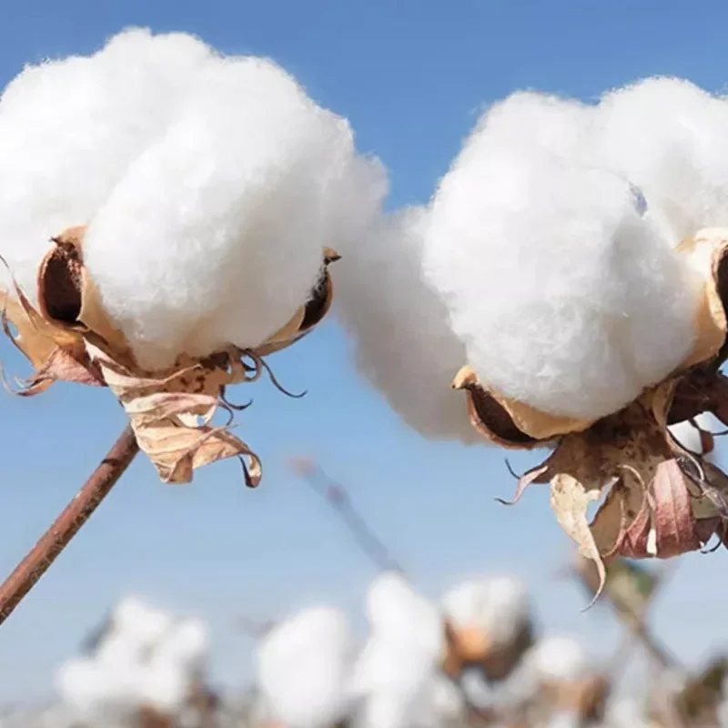 Plush Wrist Thick Glove Sensitive TouchScreen Mitten Against Cold Protective Gloves Autumn Winter Outdoor Skiing Thermal Mittens