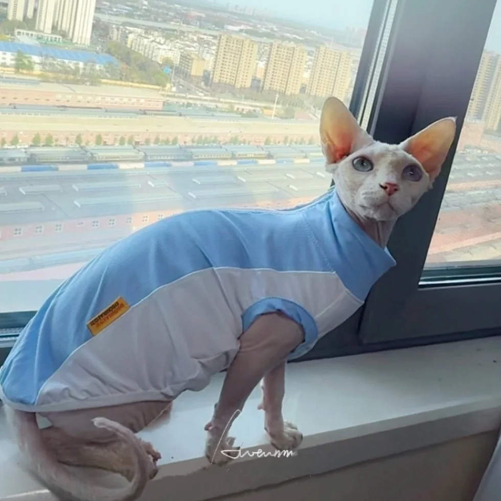 여름철 스피닉스 고양이를 위한 하이넥 지퍼형 자외선 차단 스트레치 블루 메쉬 조끼, 새끼 고양이와 소형견을 위한 통기성 쿨링 셔츠