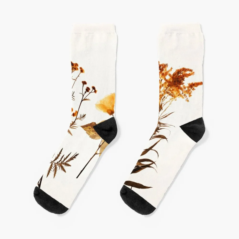 

Ambra Botanical Socks warm socks hiphop christmas gifts warm winter socks Socks Girl Men's