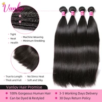 Vanlov Straight Hair Brazilian Straight Human Hair Weave Bundles Natural Black 1/3/4 pcs/lot 100% Human Hair Bundles Remy Hair 2