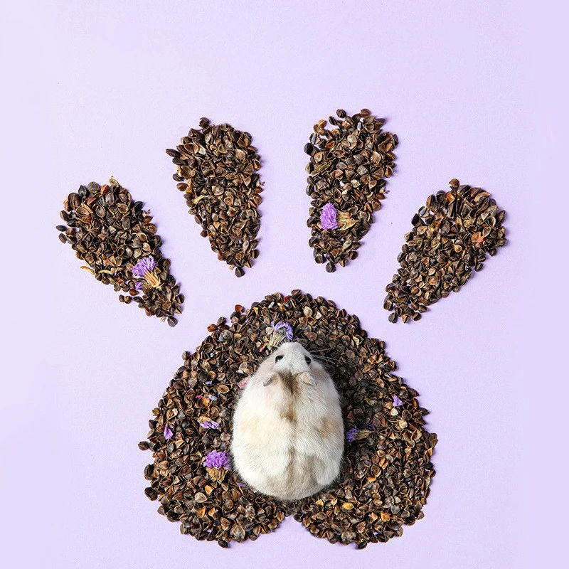 Hamster Bedding Moisture-Proof Breathable Buckwheat Shell Dust-Free Oak Small Particles Mining Cork Particles Landscaping Suppli