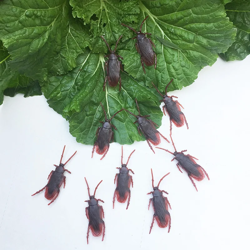 

Lifelike Halloween Prank: Get Ready to Scare with our Fake Roach Rubber Insect