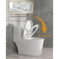 Modern Oval Integrated Toilet in Bathroom with Soft Close Seat, High Efficiency 1.1/1.6GPF Dual Flush, 12" Rough 2