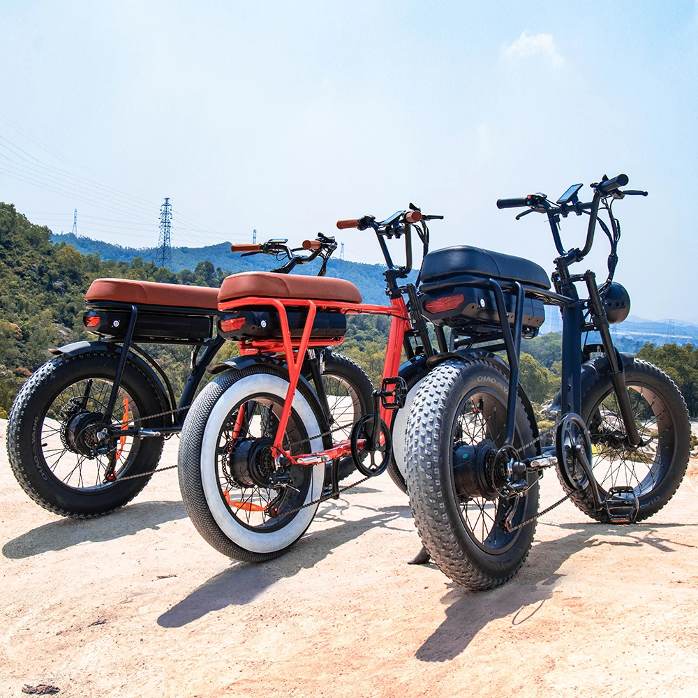 

EU Or USA Warehouse E-bike 20inch Fat Tire Electric Bike Soft 2 Seat 1000w Electric Bicycle E-bike