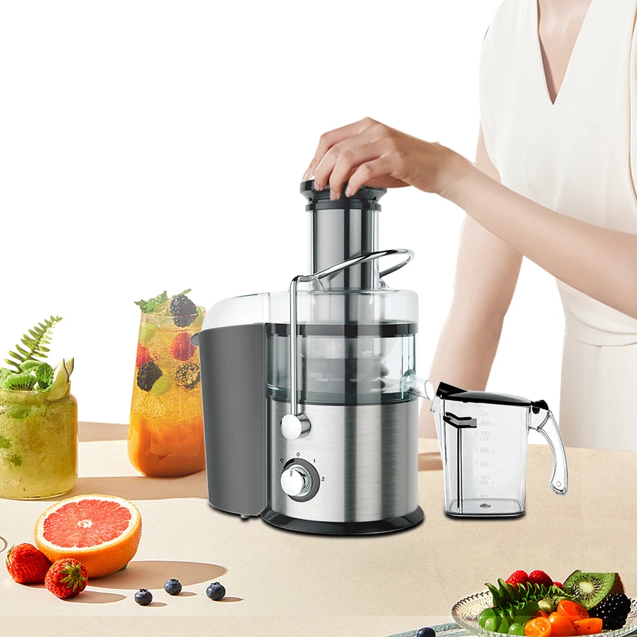 

Professional Automatic Fruit Juice Electric Juicer Extractor For Home