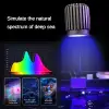 [Smart Aquarium Light] 24/7 Sunrise Sunset Mode Auto Dimming 3-Color Switch Aluminum Alloy Coral Tank Light 3