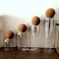 Multipurpose Micro Landscape Glass Bottles Storage With Cork Lid Moss Bottle Glass Vase Seashells Storage Glass Terrarium 2