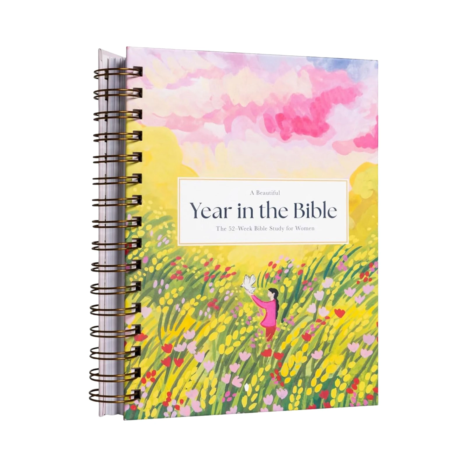 52-Week Bible Journal 1