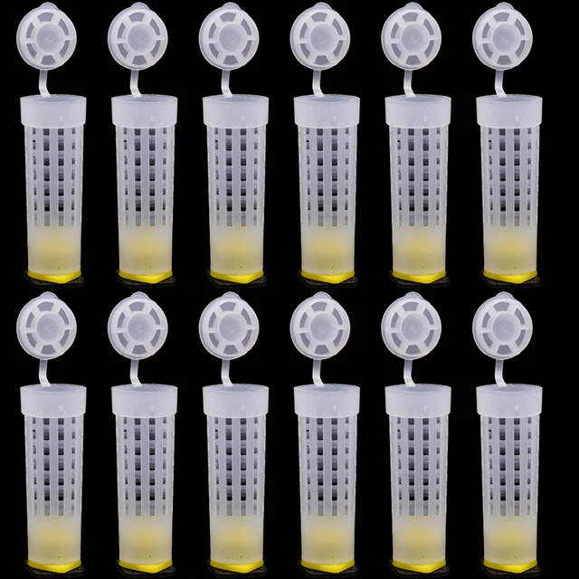 20 Pcs Queen Cage Toing Cover Capter, King Védő Borítója Megakadályozza A Méh Harapós Ketreceket, Méhészeti Lárva Szerszám - Image 5
