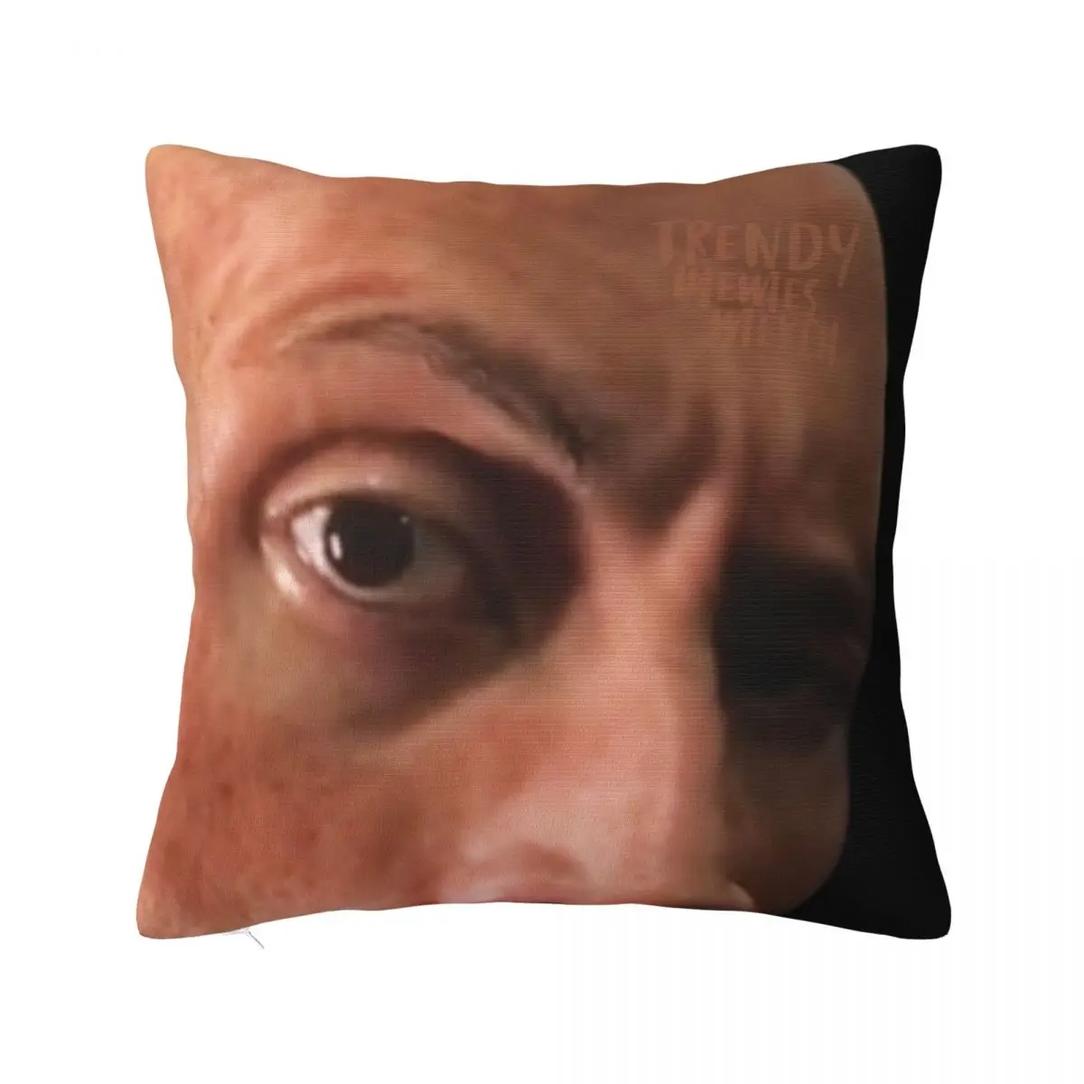

The Rock Eyebrow Raise Face Meme Throw Pillow Decorative Pillow Covers For Sofa Couch Cushions Embroidered Cushion Cover
