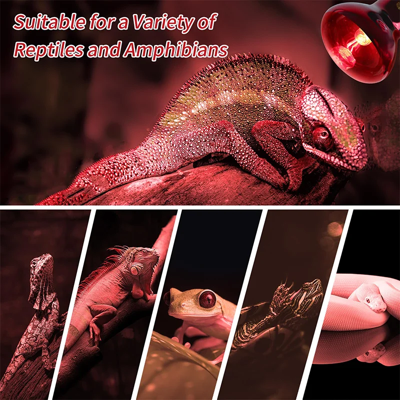 Reptile Sunlight Infrared Heating Lamp UVA Basking Bulb Amphibian Heating Light Terrarium Supplies for Turtle Lizard Snake 100W