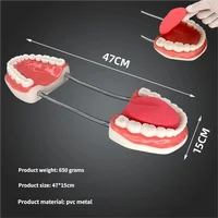 Agrandissement à Six volets, enseignement buccal, matériel dentaire, consommables de dentisterie, prothèse, modèle d'anatomie dentaire, langue 2
