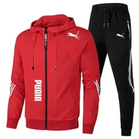 Ensemble de survêtement pour homme printemps-automne, sweat à capuche à manches longues et pantalon de jogging, 2 pièces, vêtements de sport décontractés pour la course à pied 2