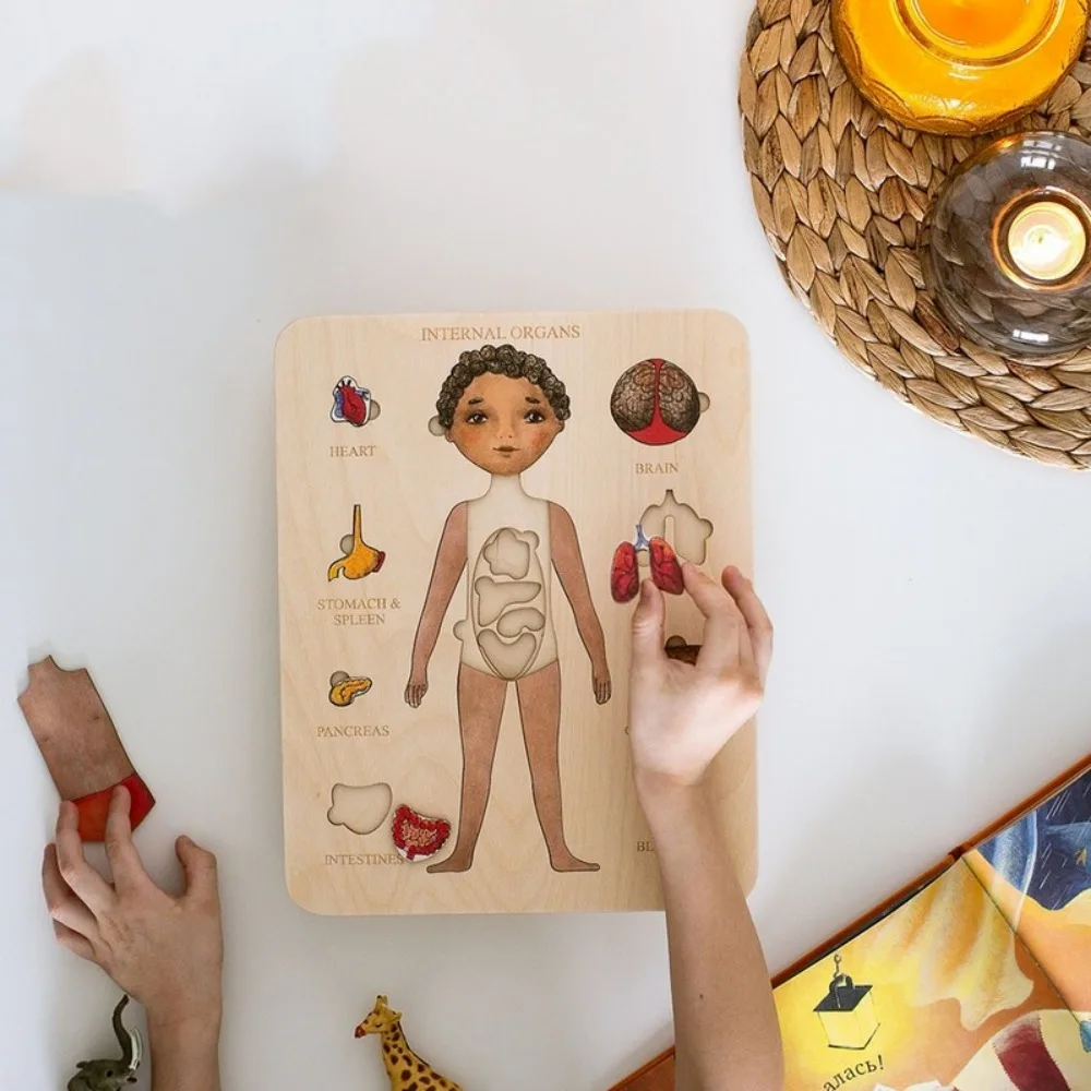 

Детская деревянная головоломка Skware для раннего развития, обучающая человеческая конструкция, головоломка для человеческого тела, анатомическая головоломка для органов