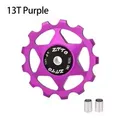 13T Purple