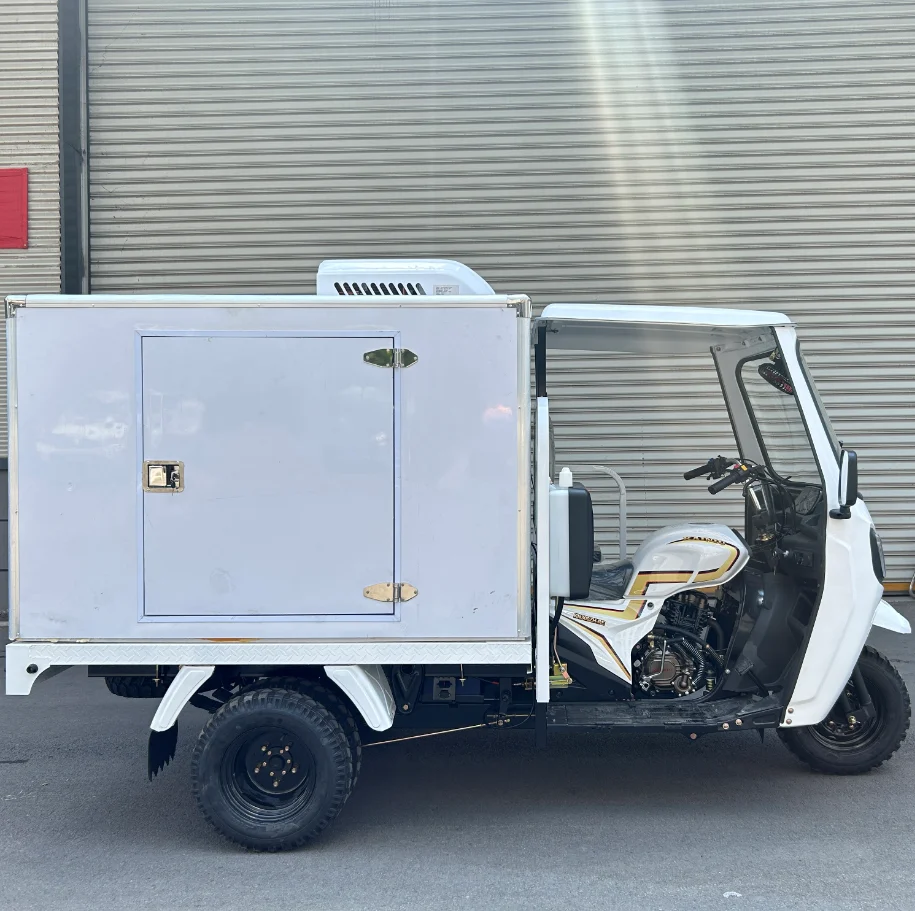 2025 Best Seller Factory Direct Sales KAINIU Closed Cargo With Refrigerator Tricycle 8℃~-18℃ Adjustable Tricycle Motorcycle - Image 3