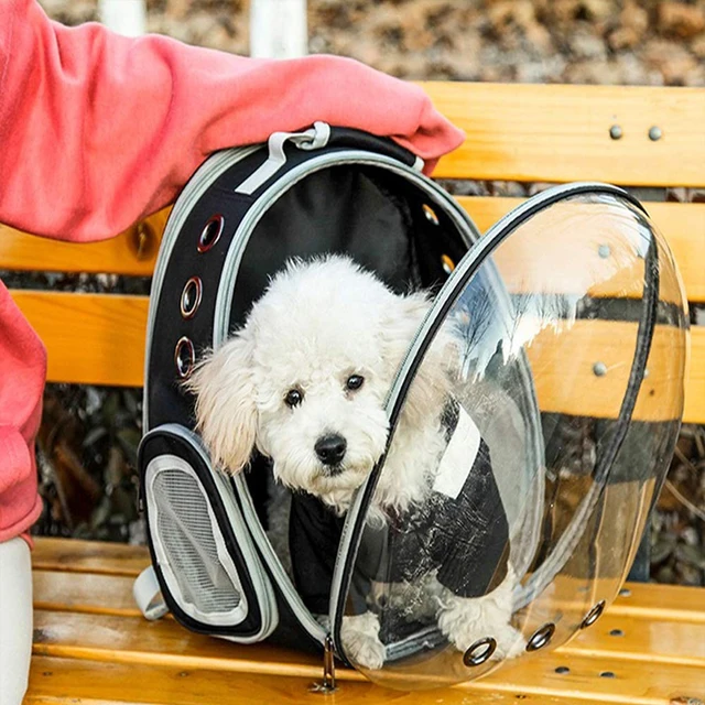 Cat bags portable and transparent space capsules breathable Pet Travel Carrying Backpack puppies to walk outdoors Backpack 2