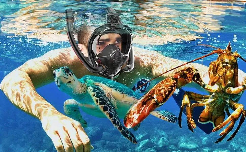 Snorkeling Mask Double Tube Silicone Full Dry Diving Mask Adult Swimming Mask Di