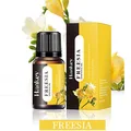 Freesia