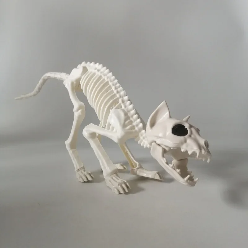 Halloween Tier Skelett Katze und Maus Skelett Modell Halloween Horror Dekoration Skelett Spukhaus Dekoration Requisiten