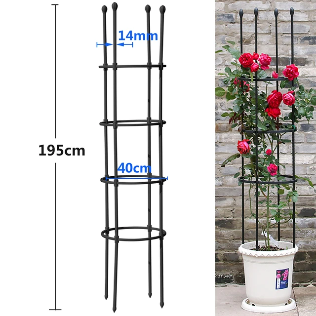 Support de plante grimpante de jardin 195cm, Cage de Support de plante en  treillis, Support de fleur, diamètre de jardin, hauteur réglable -  AliExpress