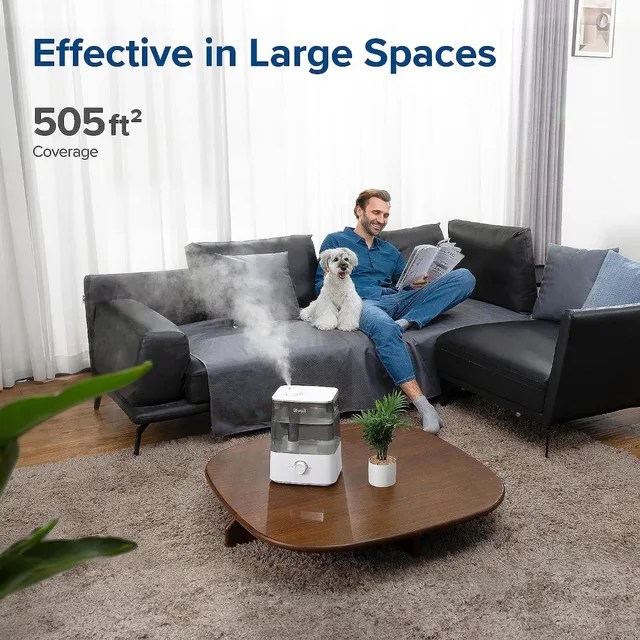 Ultrasonic Top Fill Humidifier, Large 6L Tank Last 60-Hour, Super Quiet, 360° Rotation Nozzle, Knob Control, Auto Shut Off, Gray 6