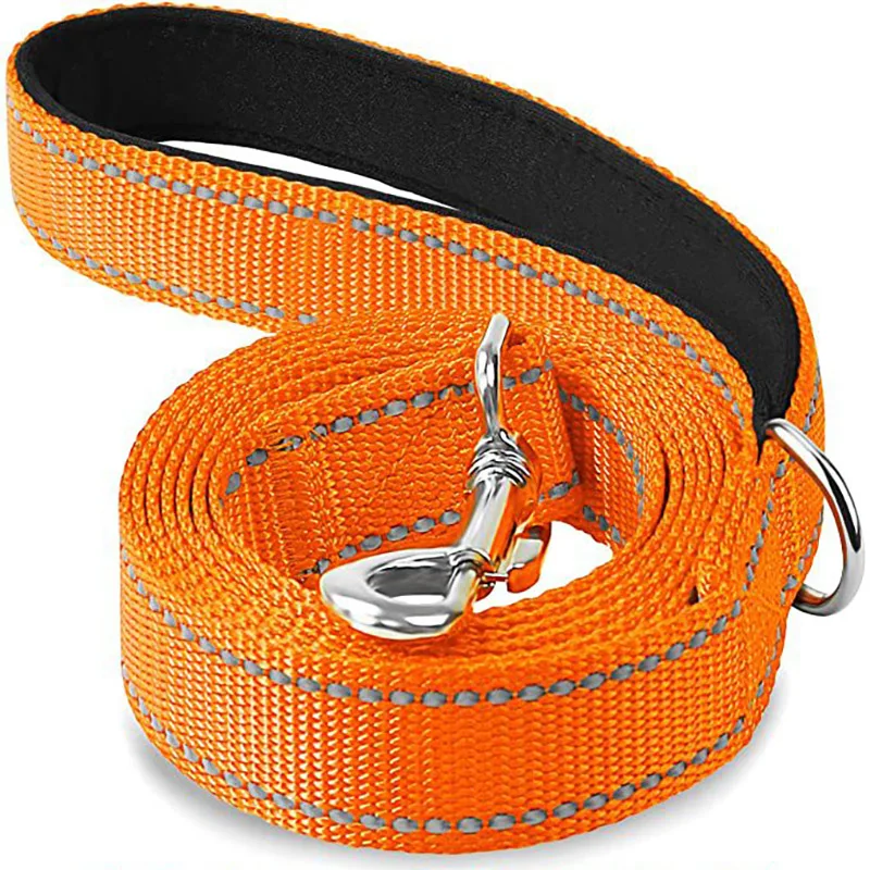 Reflective Pet Walking & Training Leash - Night Safety Guard Rope