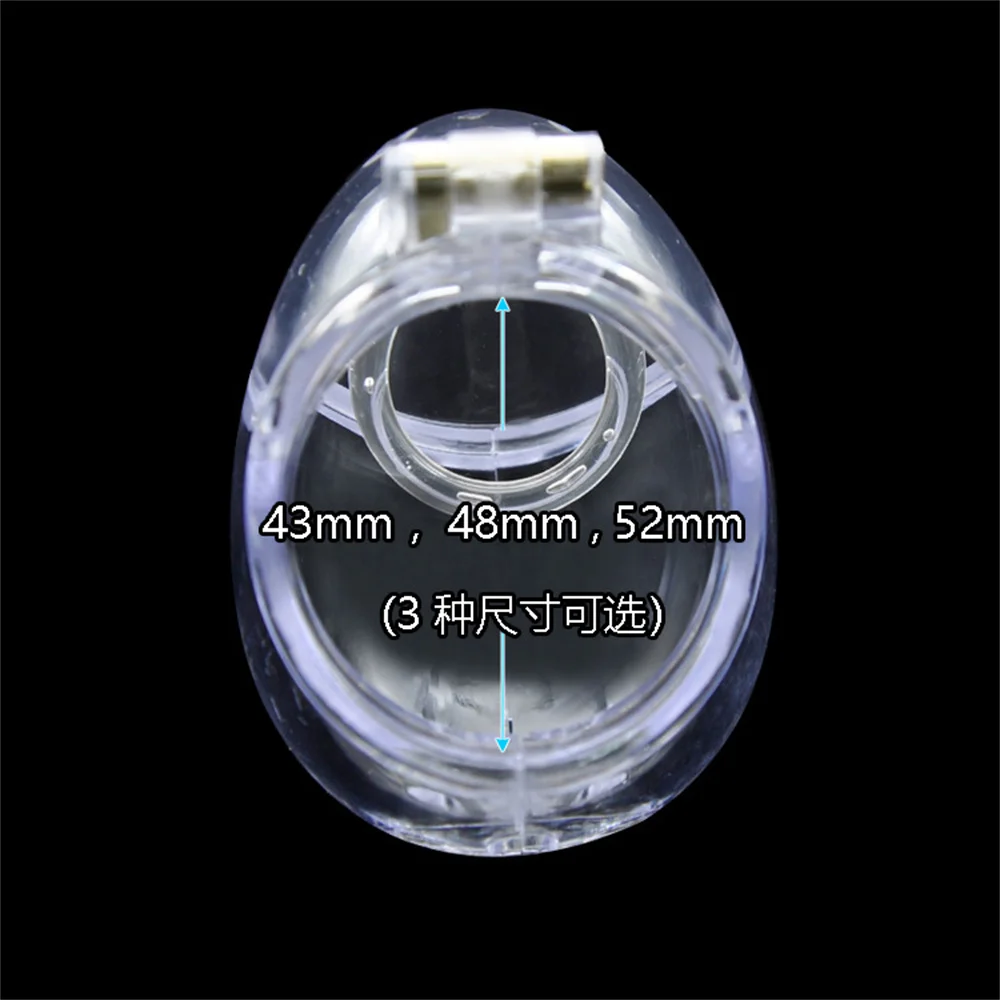 Detachable Bondage Egg Type Male Chastity Cage With Barbed Ring Scrotal Ball BDSM Chicken Cage Penis Stretcher Abstinence SexToy