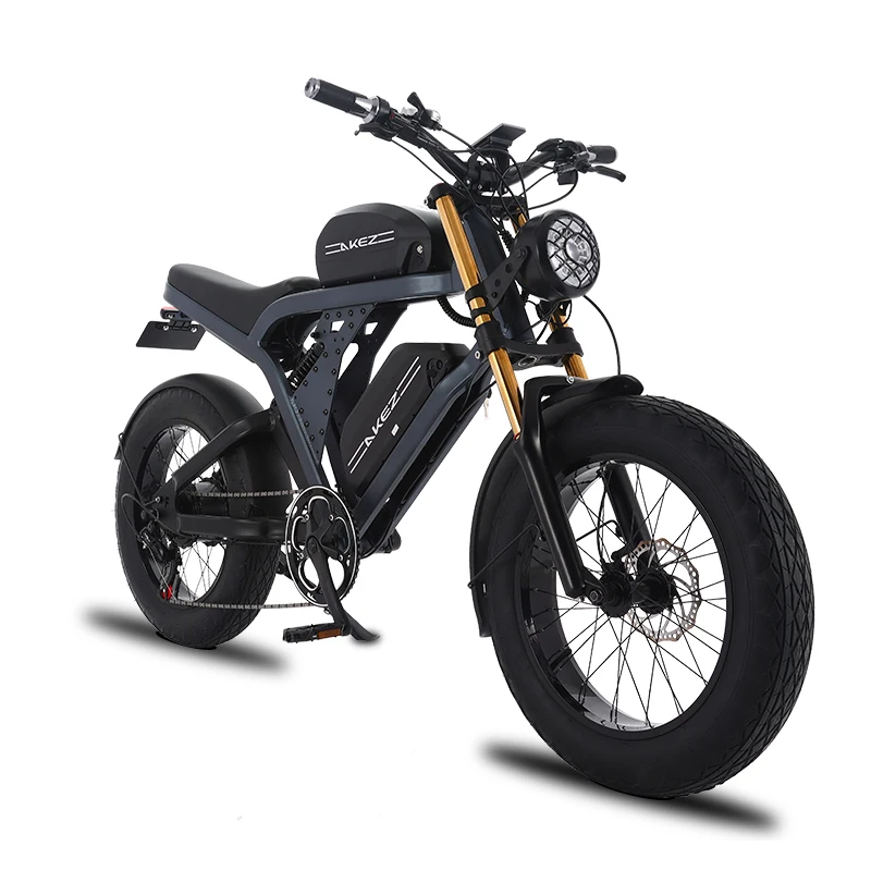 Sistema Di Alimentazione Intelligente Freno Idraulico Anteriore E Posteriore Mountain Bike Elettrica E-Bike Fat Bike Bicicletta Elettrica 1500W